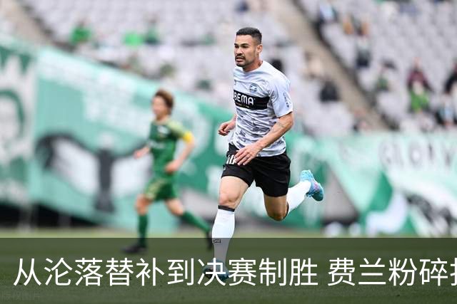 从沦落替补到决赛制胜 费兰粉碎批评贡献最关键一球