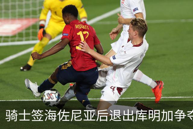 骑士签海佐尼亚后退出库明加争夺战 湖人成唯一追求者