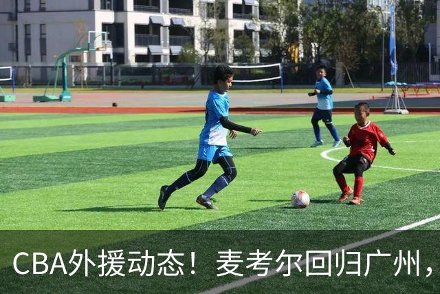 CBA外援动态！麦考尔回归广州，浙江签新外，青岛续米奇韦胖待定